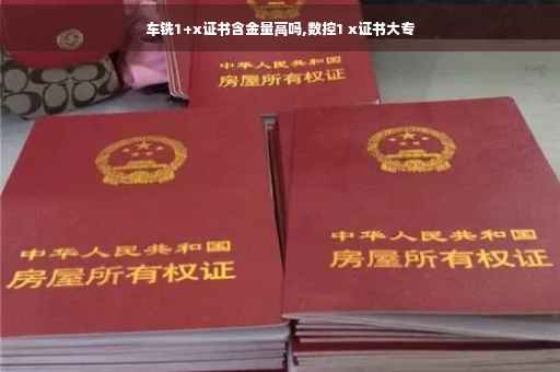 车铣1+x证书含金量高吗,数控1 x证书大专