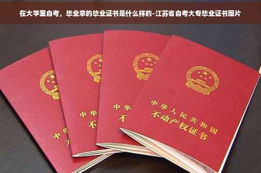 在大学里自考，毕业拿的毕业证书是什么样的-江苏省自考大专毕业证书图片