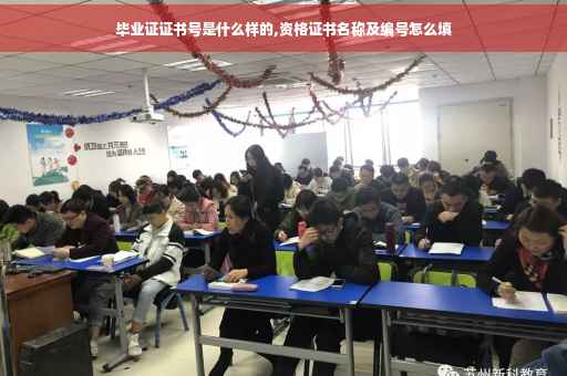毕业证证书号是什么样的,资格证书名称及编号怎么填