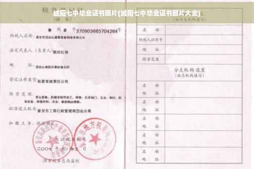 城阳七中毕业证书图片(城阳七中毕业证书图片大全)