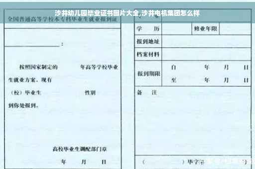 沙井幼儿园毕业证书图片大全,沙井电机集团怎么样