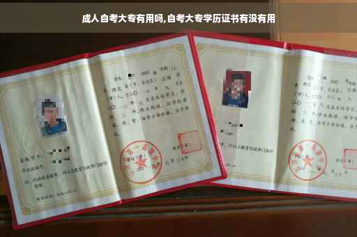 成人自考大专有用吗,自考大专学历证书有没有用