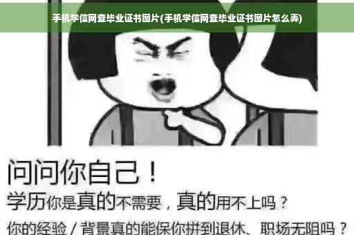 手机学信网查毕业证书图片(手机学信网查毕业证书图片怎么弄)