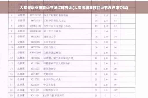 大专考职业技能证书没过咋办呢(大专考职业技能证书没过咋办呢)