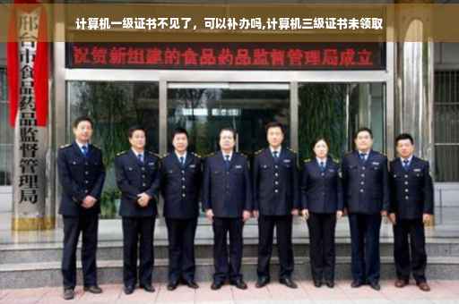 计算机一级证书不见了，可以补办吗,计算机三级证书未领取