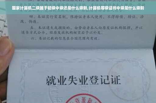 国家计算机二级属于初级中级还是什么级别,计算机等级证书中级是什么级别