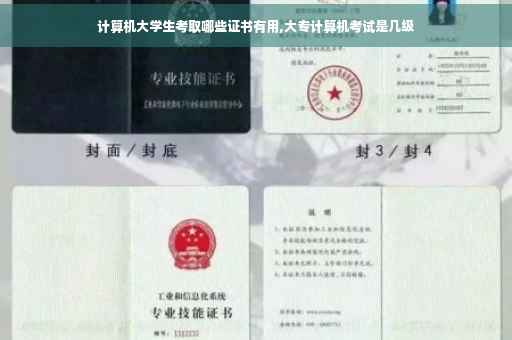 计算机大学生考取哪些证书有用,大专计算机考试是几级