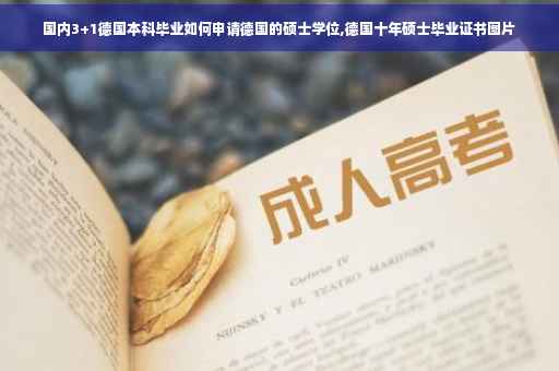 国内3+1德国本科毕业如何申请德国的硕士学位,德国十年硕士毕业证书图片