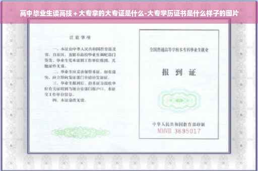 高中毕业生读高技＋大专拿的大专证是什么-大专学历证书是什么样子的图片