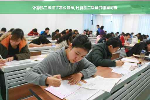 计算机二级过了怎么显示,计算机二级证书哪里可查