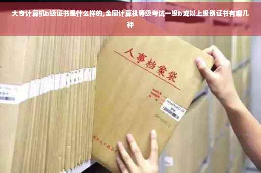 大专计算机b级证书是什么样的,全国计算机等级考试一级b或以上级别证书有哪几种