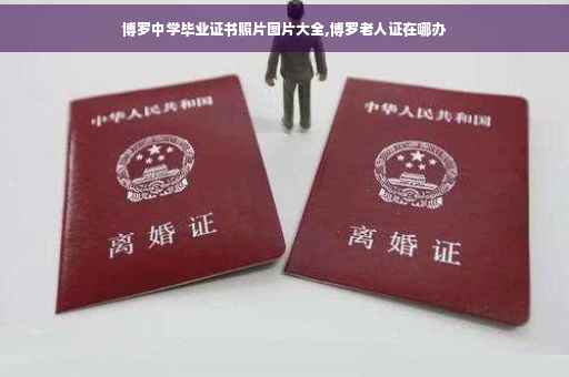 博罗中学毕业证书照片图片大全,博罗老人证在哪办
