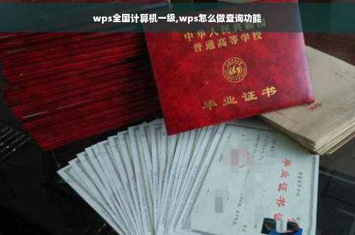 wps全国计算机一级,wps怎么做查询功能