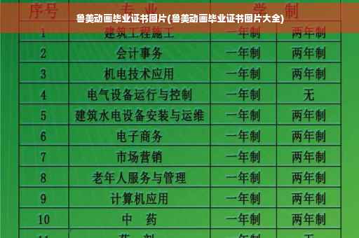 鲁美动画毕业证书图片(鲁美动画毕业证书图片大全)