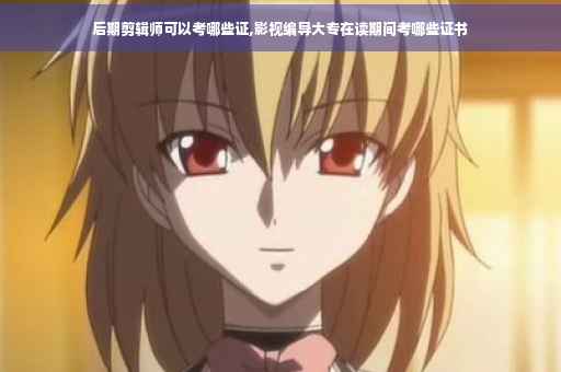 后期剪辑师可以考哪些证,影视编导大专在读期间考哪些证书
