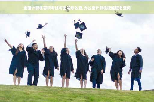 全国计算机等级考试考生号怎么查,办公室计算机技能证书查询