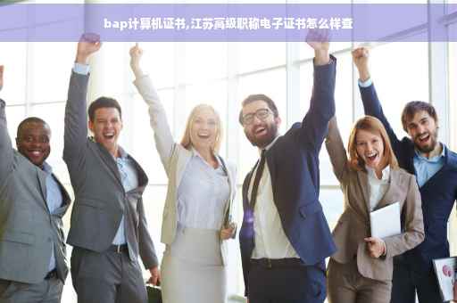 bap计算机证书,江苏高级职称电子证书怎么样查