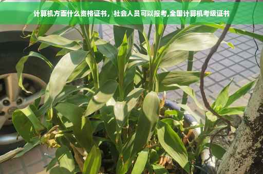 计算机方面什么资格证书,社会人员可以报考,全国计算机考级证书 计算机方面什么资格证书,社会人员可以报考,全国计算机考级证书