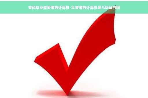 专科毕业需要考的计算机-大专考的计算机是几级证书啊