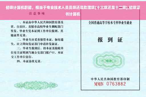 初级计算机职称,相当于专业技术人员员级还是助理级(十三级还是十二级),初级证书计算机 初级计算机职称,相当于专业技术人员员级还是助理级(十三级还是十二级),初级证书计算机