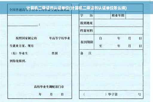 计算机二级证书认证单位(计算机二级证书认证单位怎么填)
