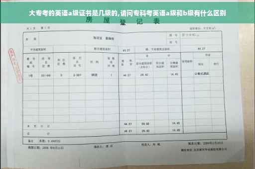 大专考的英语a级证书是几级的,请问专科考英语a级和b级有什么区别