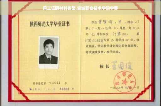用工证明材料类型,宣城职业技术学院学费