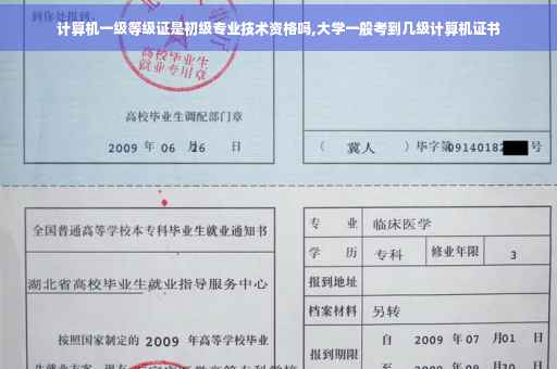 计算机一级等级证是初级专业技术资格吗,大学一般考到几级计算机证书