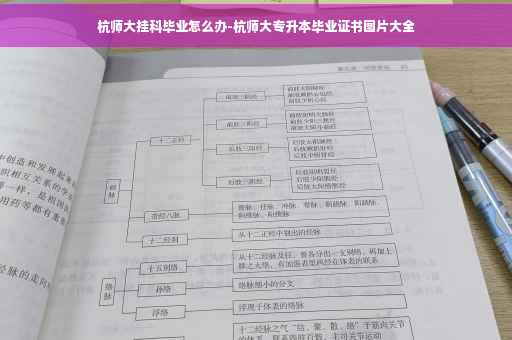 杭师大挂科毕业怎么办-杭师大专升本毕业证书图片大全