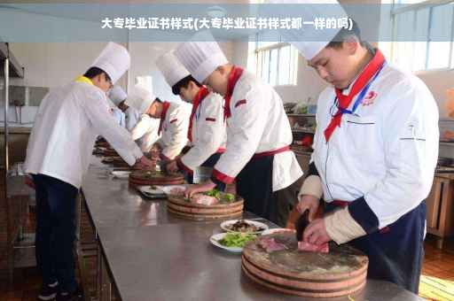 大专毕业证书样式(大专毕业证书样式都一样的吗)