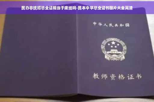 民办非统招毕业证相当于废纸吗-民本中学毕业证书图片大全高清