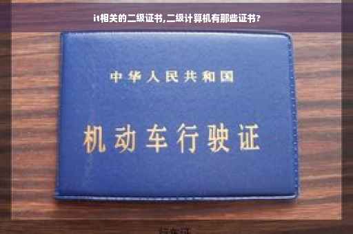 it相关的二级证书,二级计算机有那些证书?