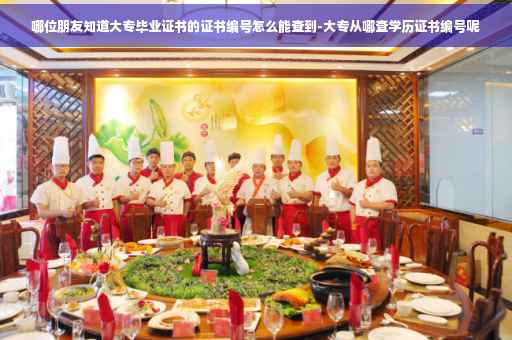 哪位朋友知道大专毕业证书的证书编号怎么能查到-大专从哪查学历证书编号呢