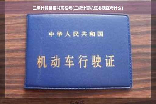 二级计算机证书现在考(二级计算机证书现在考什么)