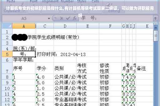 计算机专业的初级职称是指什么,有计算机等级考试国家二级证，可以做为评职称用吗