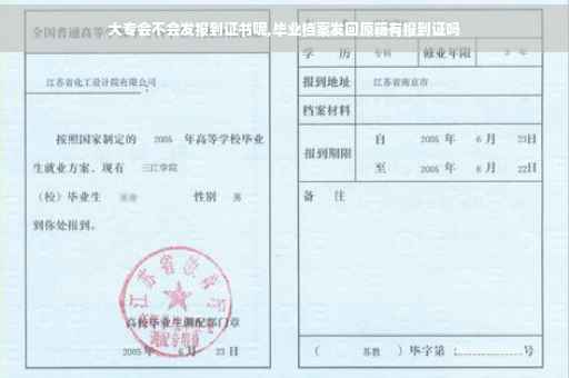 大专会不会发报到证书呢,毕业档案发回原籍有报到证吗