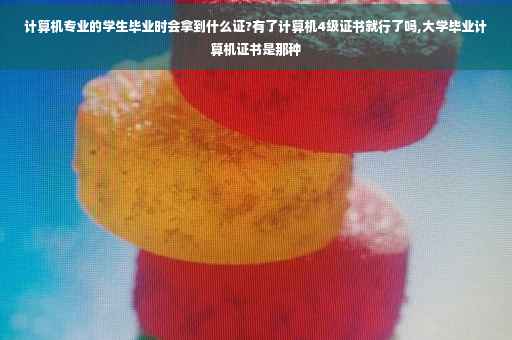 计算机专业的学生毕业时会拿到什么证?有了计算机4级证书就行了吗,大学毕业计算机证书是那种