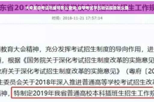 大专里自考证书编号怎么查询,自学考试学历验证报告怎么查