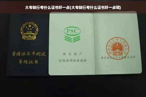 大专转行考什么证书好一点(大专转行考什么证书好一点呢)