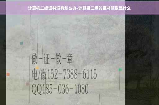 计算机二级证书没有怎么办-计算机二级的证书领取是什么