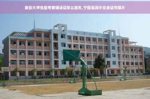 泰安大学生报考普通话证怎么报名,宁阳县高中毕业证书图片