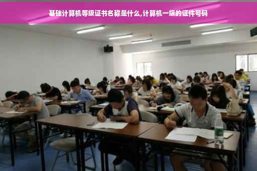 基础计算机等级证书名称是什么,计算机一级的证件号码