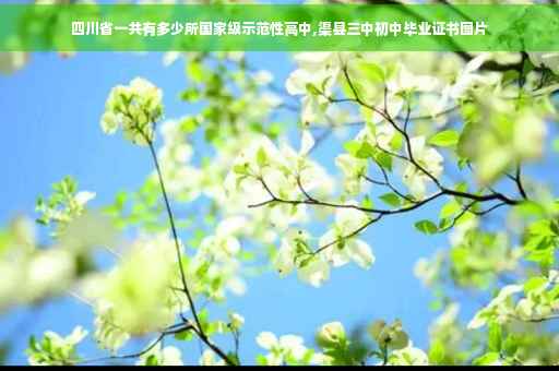 四川省一共有多少所国家级示范性高中,渠县三中初中毕业证书图片