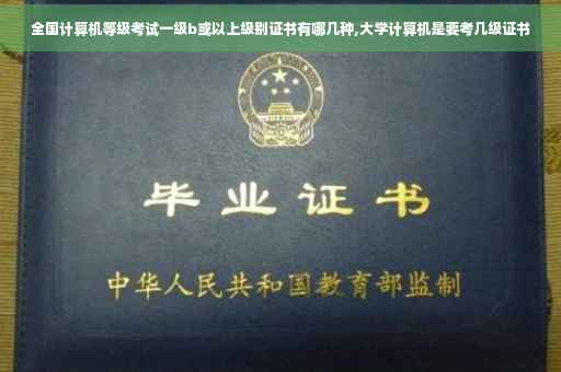 全国计算机等级考试一级b或以上级别证书有哪几种,大学计算机是要考几级证书