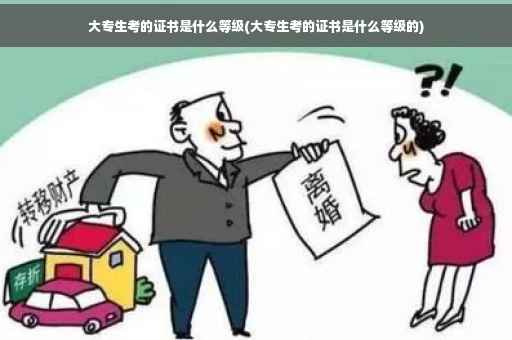 大专生考的证书是什么等级(大专生考的证书是什么等级的)