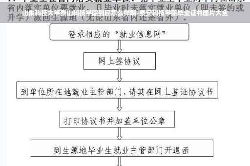 山东科技大学泰山科技学院到底怎么样啊-泰安科技学院毕业证书图片大全