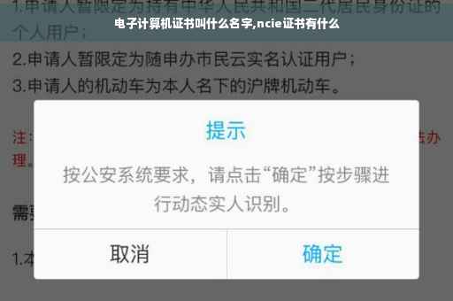 电子计算机证书叫什么名字,ncie证书有什么