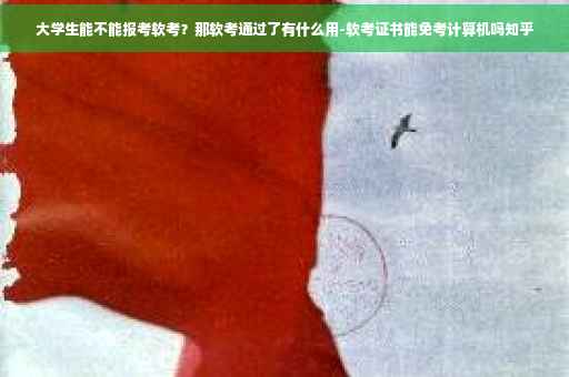 大学生能不能报考软考？那软考通过了有什么用-软考证书能免考计算机吗知乎