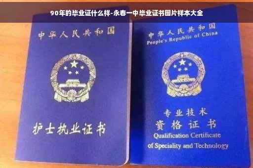 90年的毕业证什么样-永春一中毕业证书图片样本大全