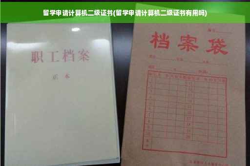 留学申请计算机二级证书(留学申请计算机二级证书有用吗)